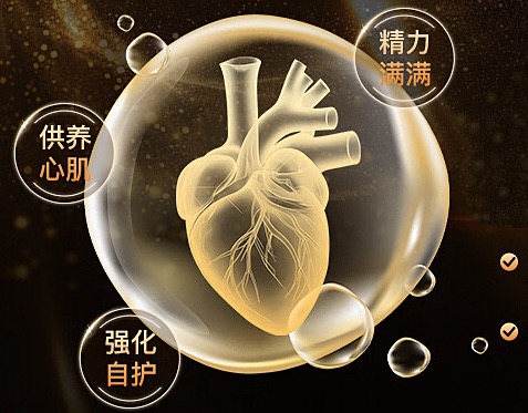 还原型辅酶Q10